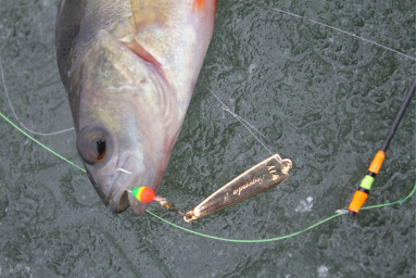 Блесна зимняя Akara W Legenda 30